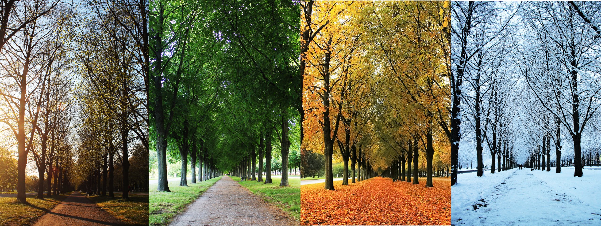 Principes van de Natuur