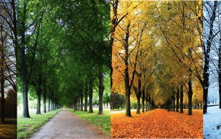 Principes van de Natuur