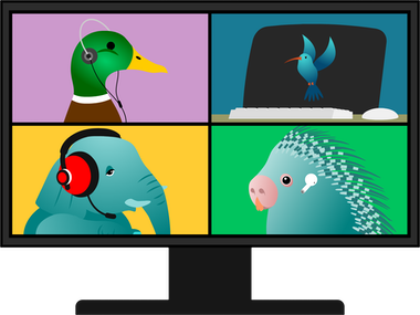 Webinar 380 width